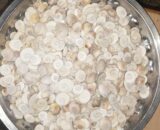 கோமதி சக்கரம் - Gomathi Chakra 1pcs