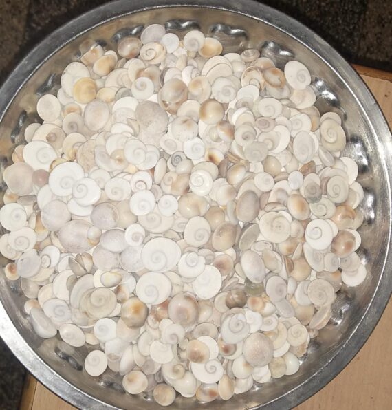 கோமதி சக்கரம் - Gomathi Chakra 1pcs