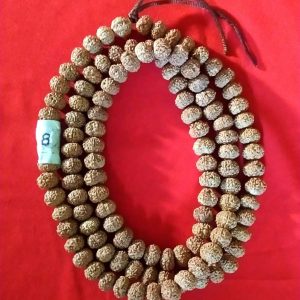 8 face ruthraksha malai / 8 முக ருத்ராட்ச மாலை