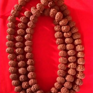 7 Mukhi Rudraksha Mala - 7முக ருத்ராட்ச மாலை