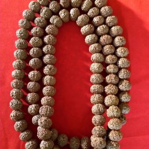 9 face ruthraksha malai / 9 முக ருத்ராட்ச மாலை