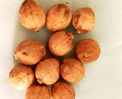 Pooja coconut small(11pieces)/ஒற்றை கண் தேங்காய்