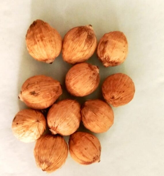 Pooja coconut small(11pieces)/ஒற்றை கண் தேங்காய்