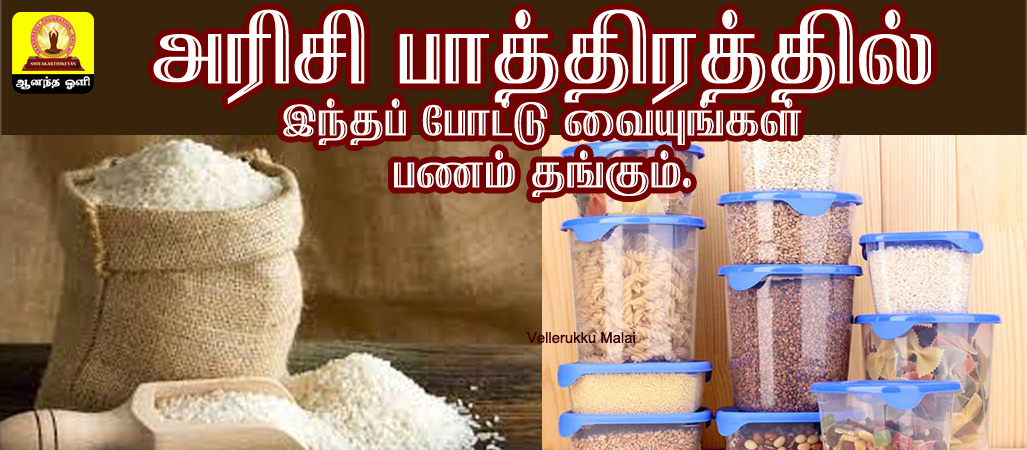 rice storage containers