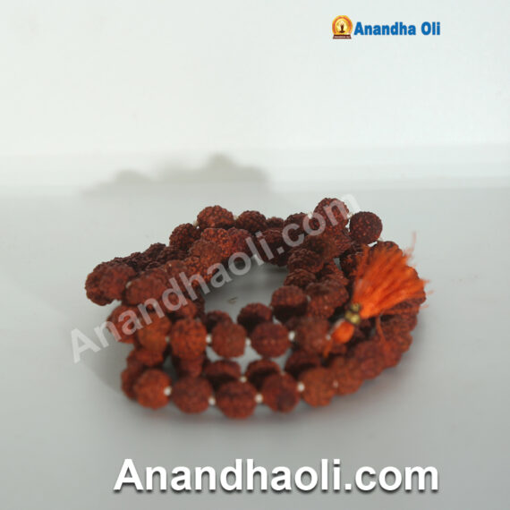 Rudraksha Mala – ருத்ராட்ச மணி மாலை